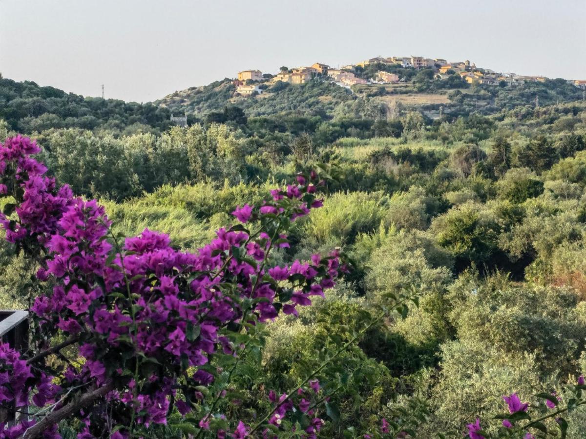 Albergo rurale La corte degli ulivi Tresnuraghes Esterno foto